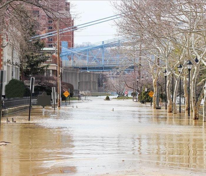 Flooded street with trees and black lamp posts lining the street with a blue bridge in the background.