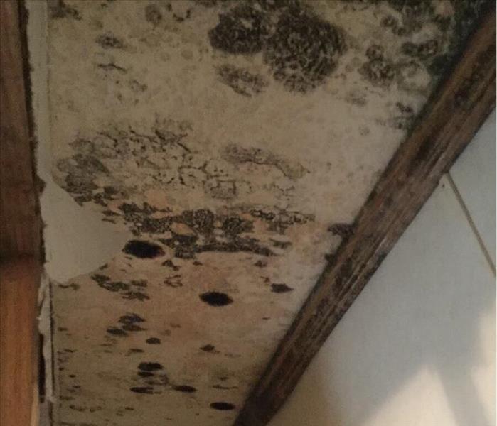 Black mold spots on a white ceiling of a closet with brown trim.