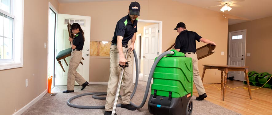 Oak Brook, IL cleaning services